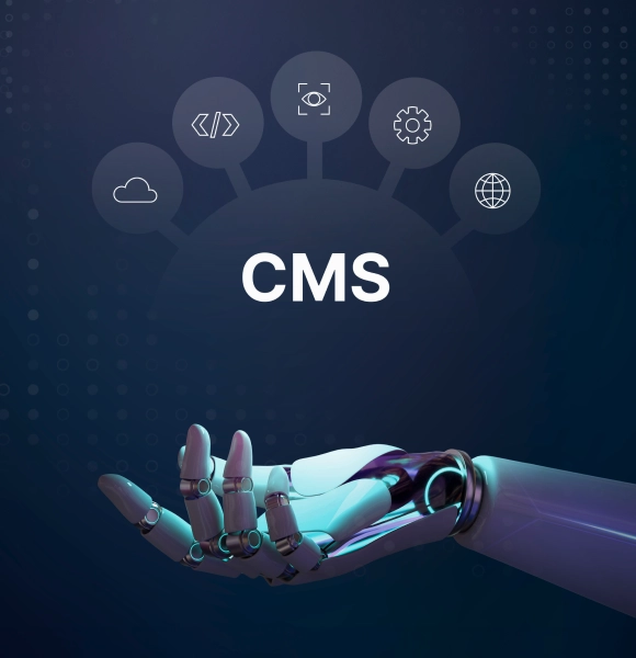 INNVIS - Content Management Systems